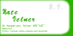 mate velner business card